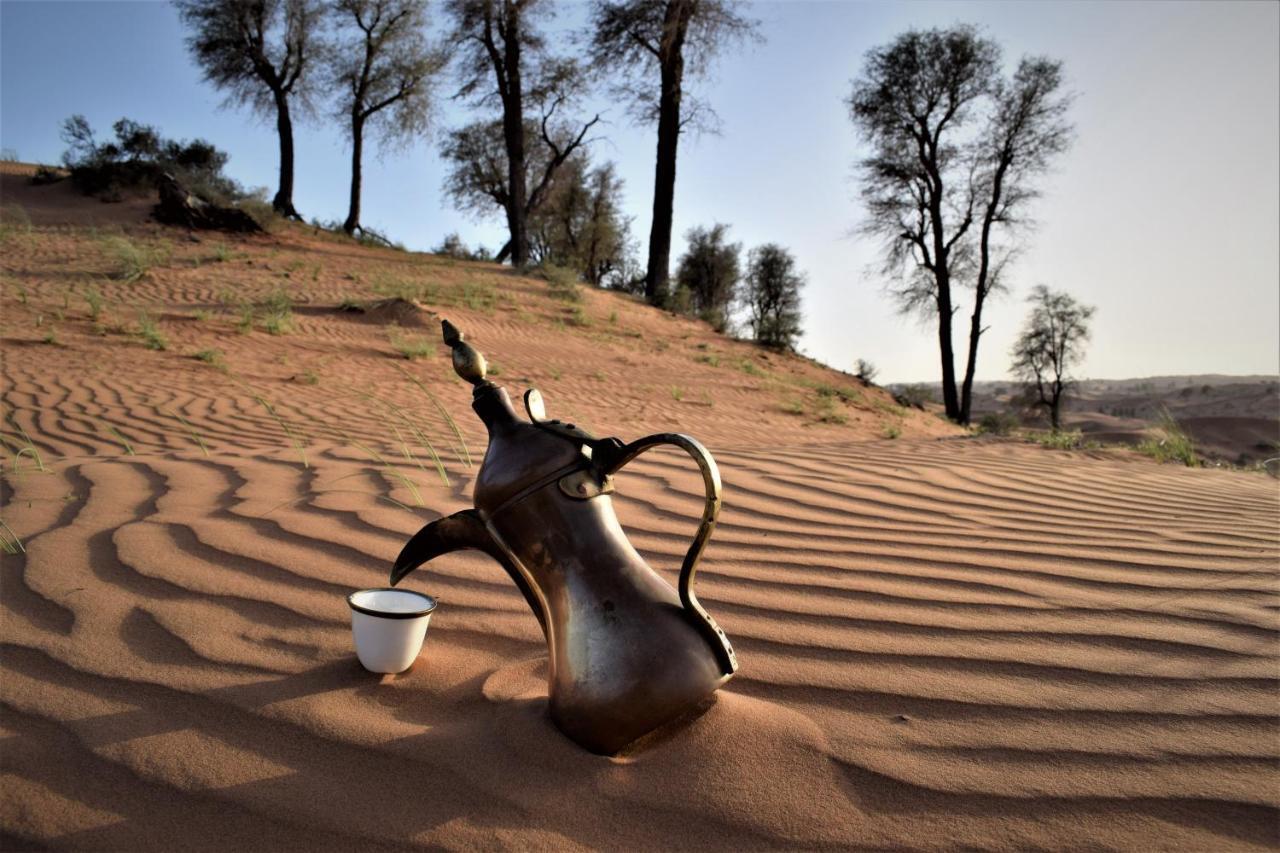Bedouin Oasis Desert Camp- Ras Al Khaimah Εξωτερικό φωτογραφία